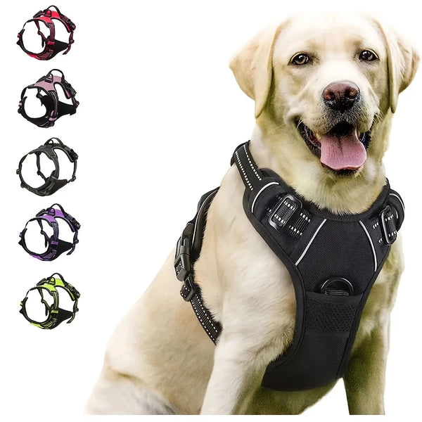 Comfort Control Dog Harness